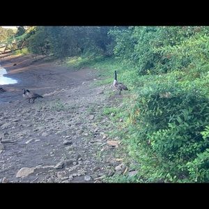 Meet your Posher, Rebekah